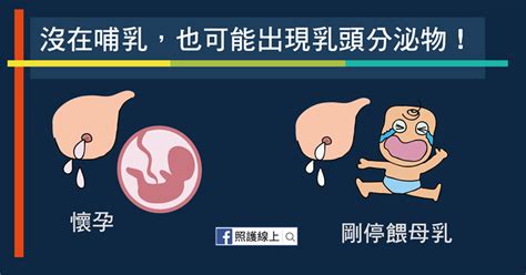 女人的奶頭|乳頭內凹、長毛正常嗎？ 8類「乳頭形狀」你的是哪種